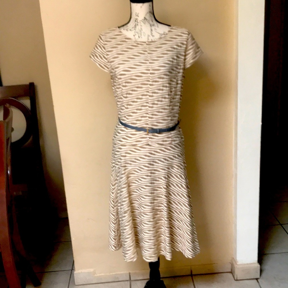Sharagano Women Dress with Gray Belt.